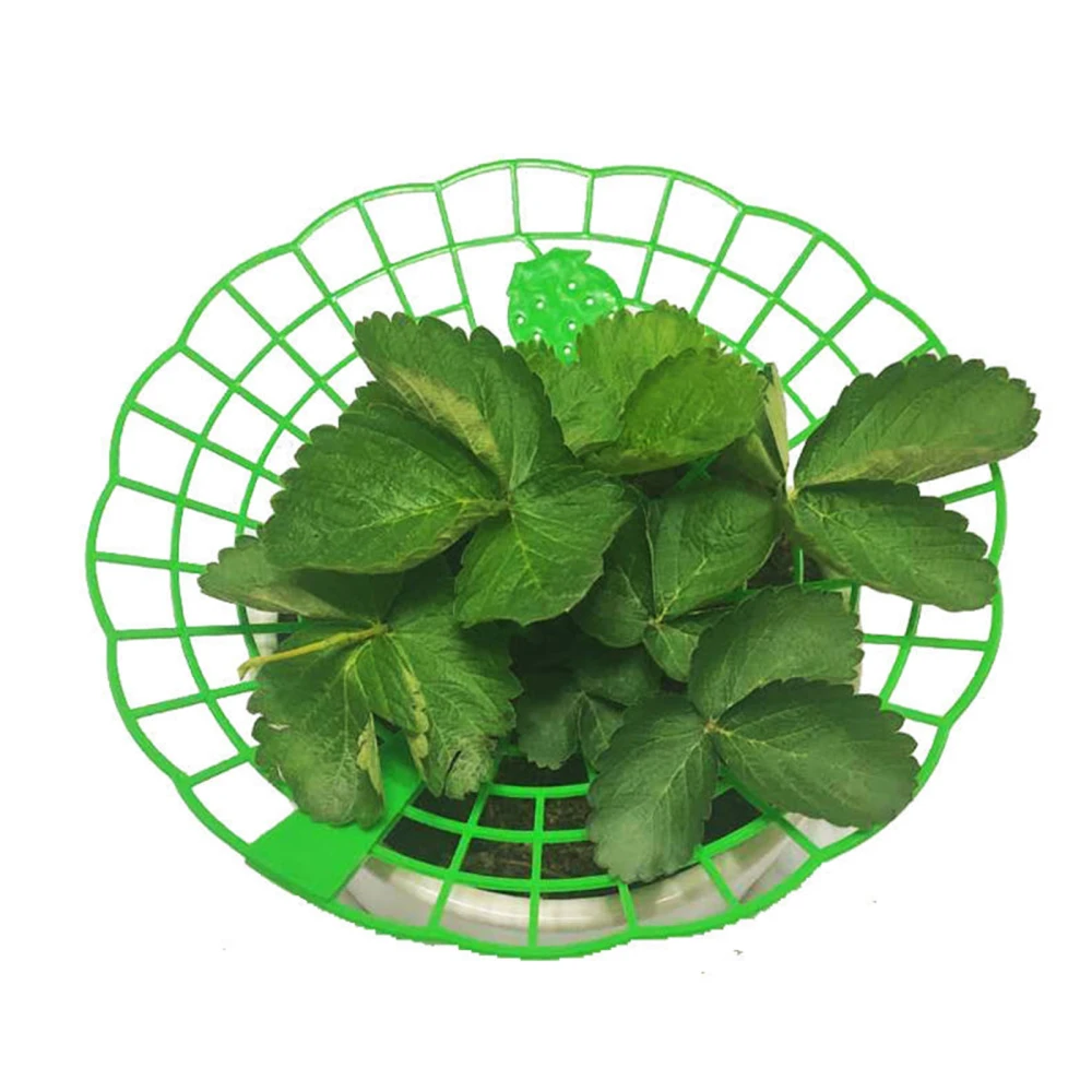 

Support Frame Plant Protection Green Movable Plastic Gardening Tool 6pcs 30cm Strawberry Stand