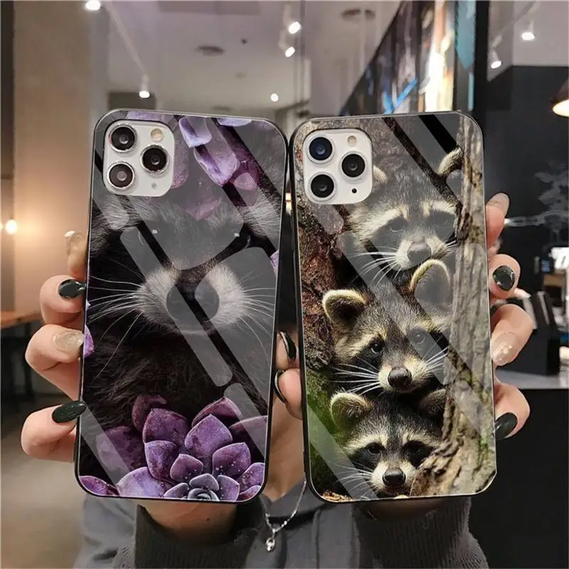 animal raccoon phone case tempered glass for iphone 12 pro max mini 11 pro xr xs max 8 x 7 6s 6 plus se 2020 cover free global shipping