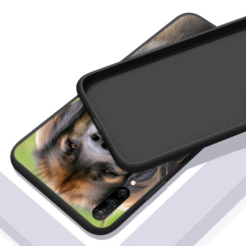 

Silicone shell tibetan mastiff dog for Samsung Galaxy A90 A80 A70 A60 A50 A40 A20E A2Core A10 M20 Black Phone Case