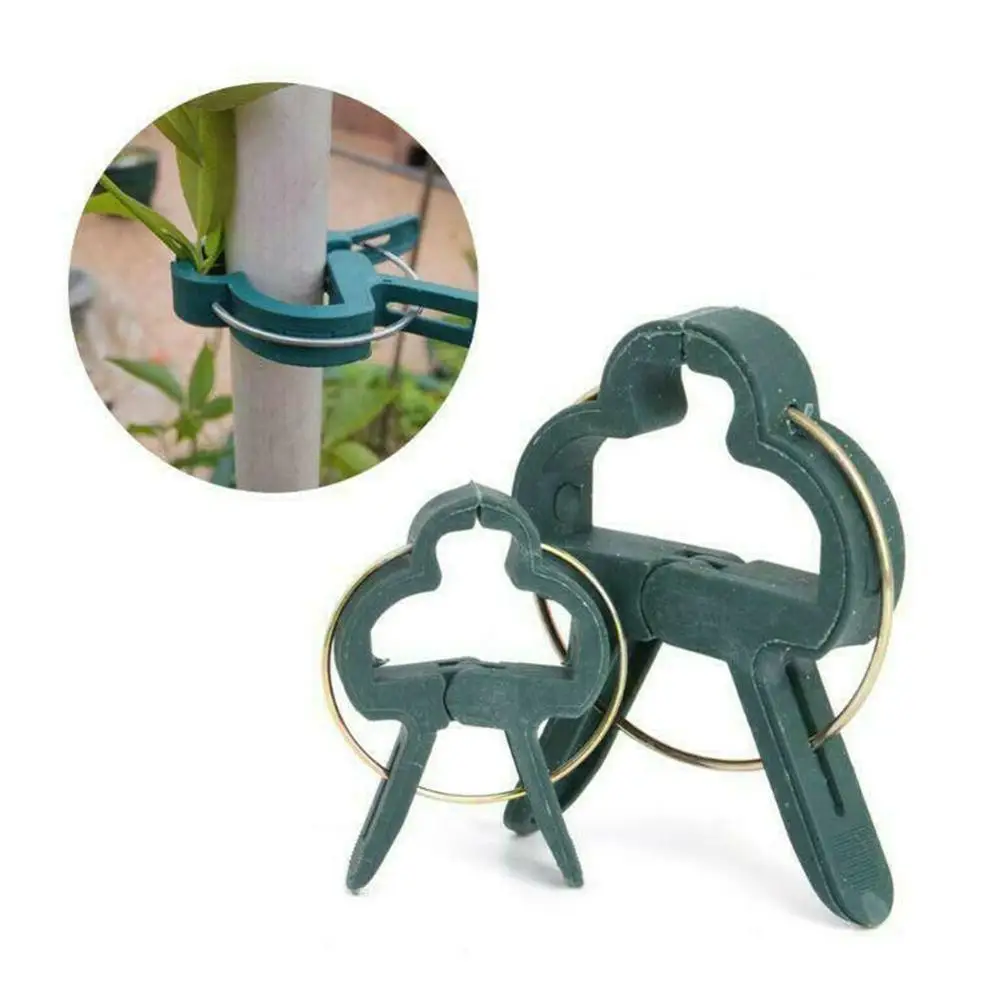 

20Pcs/Set Garden Plant Flower Lever Loop Gripper Clips Support Stems Vine Straighten Z6K1