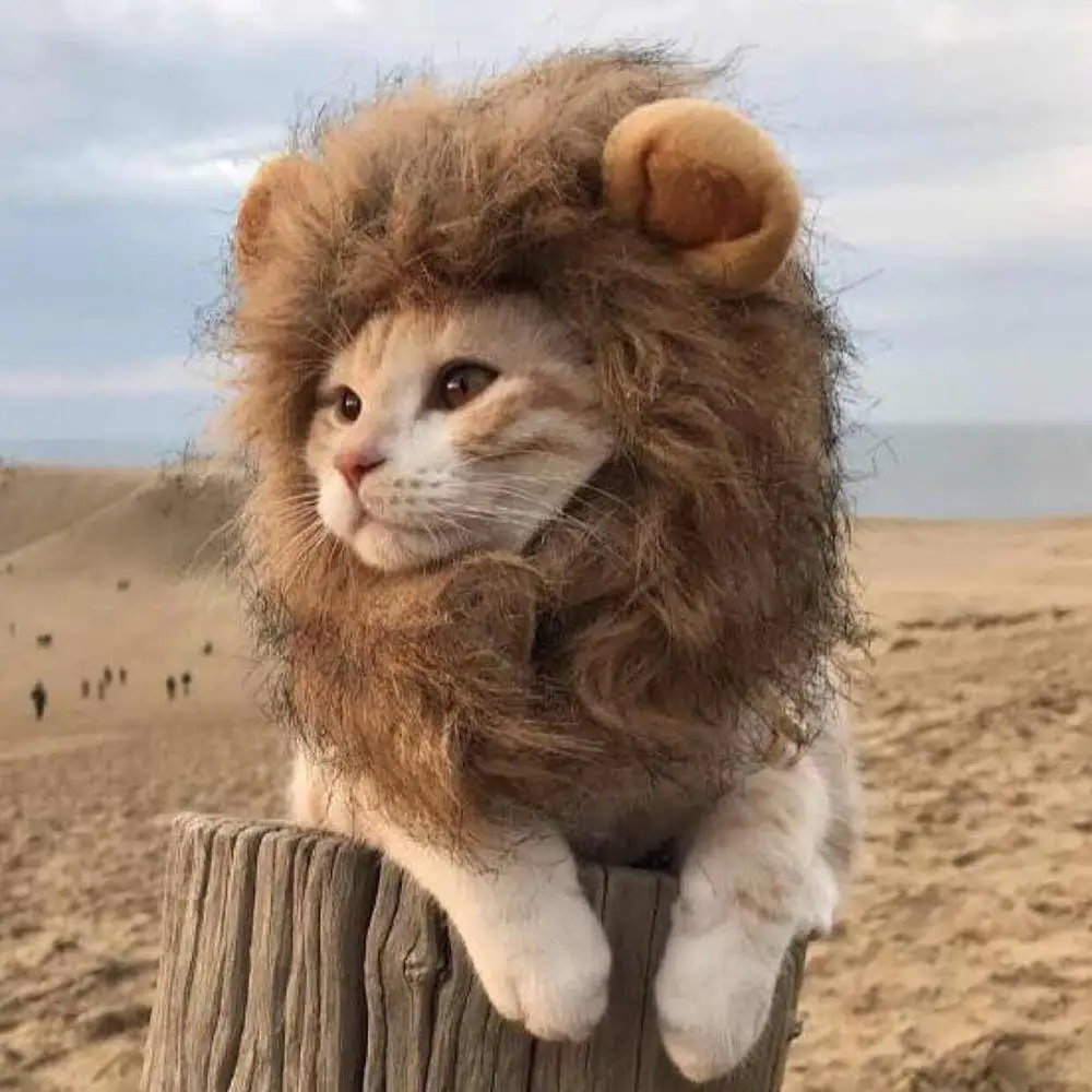 Забавный милый костюм кота льва грива парик шапка для кошки собаки Хэллоуин