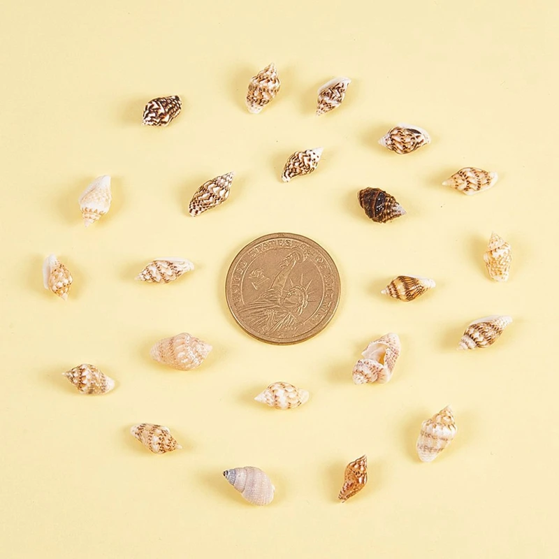 About 1300-1500 Tiny Sea Shell Ocean Beach Spiral Seashells Craft Charms 7-12mm for Candle Making Home Decoration Theme Pa | Дом и сад