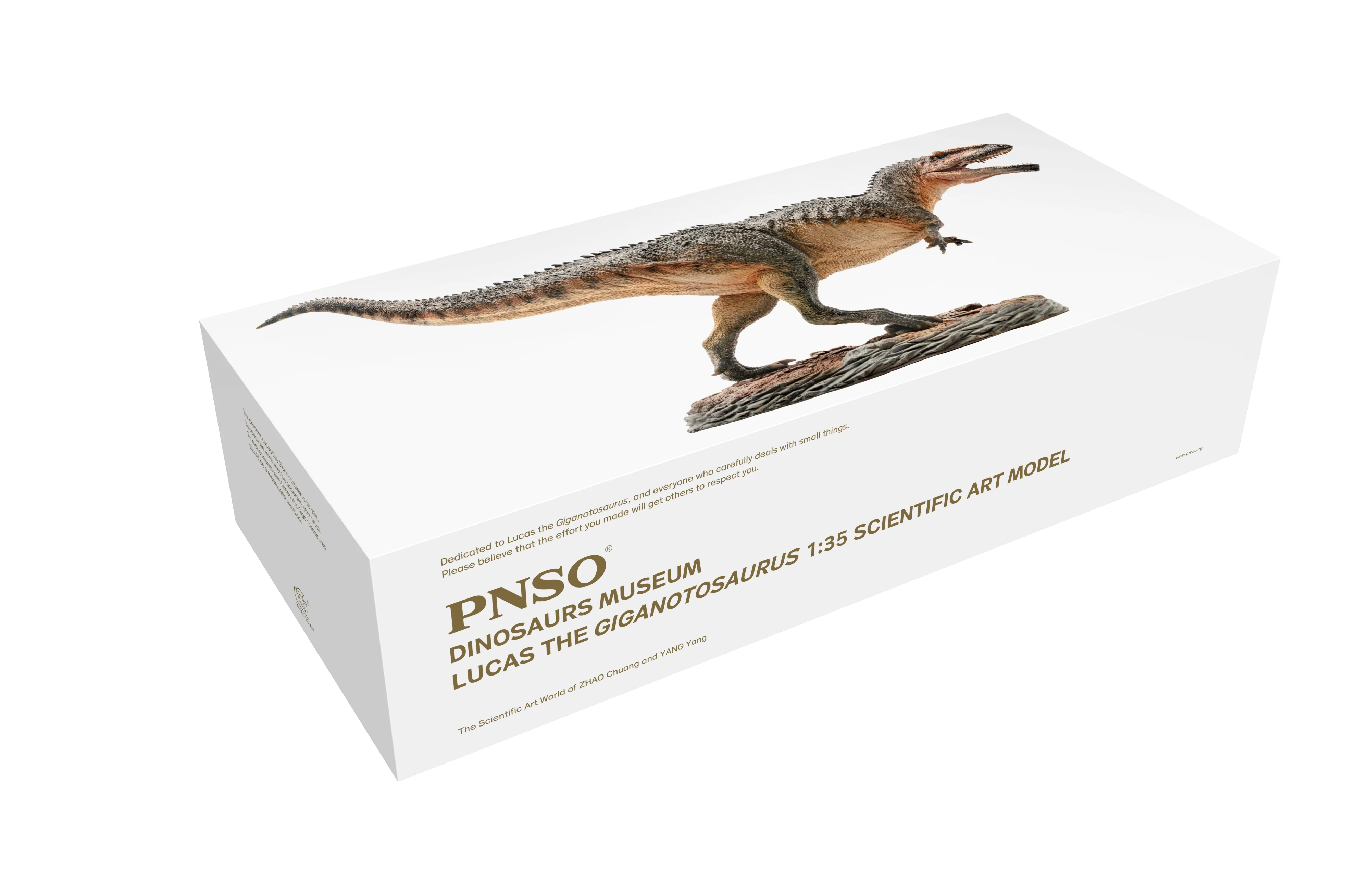 PNSO-Serie de museo de dinosaurios: Lucas el giganosaurus 1:35, modelos de arte cient&iacute;fico-4