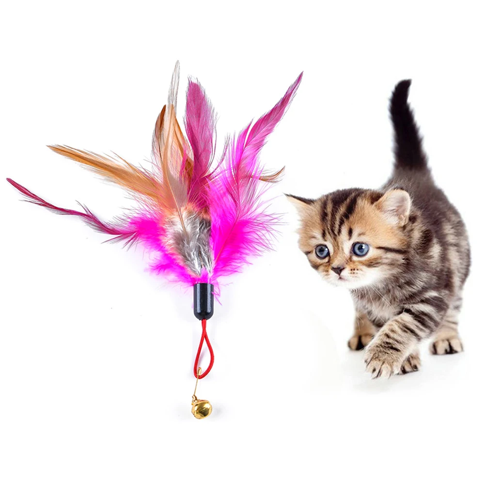 new Pet Cats Feather Bell Play Stick Teaser Replace Head Scratch Interactive Toy | Дом и сад