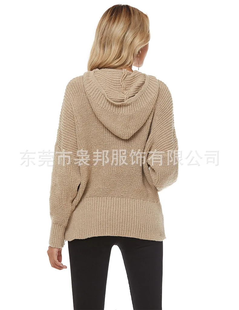 

Knitted Sweater Women Hooded Loose Sweater Women Spring Autumn Sweater Women Clothing