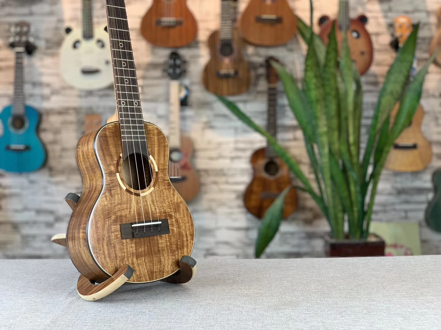 volle feste ukulele alle acacia matt konzert tenor 23 26 in elektrische gitarre ukelele 4 strings guitarra uke akustische free global shipping