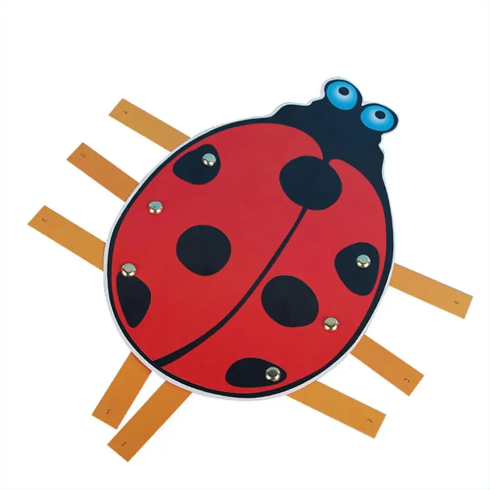 

Wooden Insect Model Puzzle Diy Educational Toys For Kindergarten Science Experiment