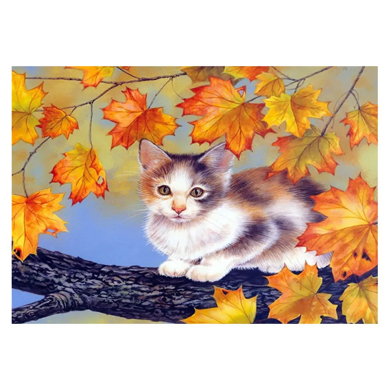 5D DIY Алмазная картина кошка полный круг горный хрусталь вышивка крестом мозаика