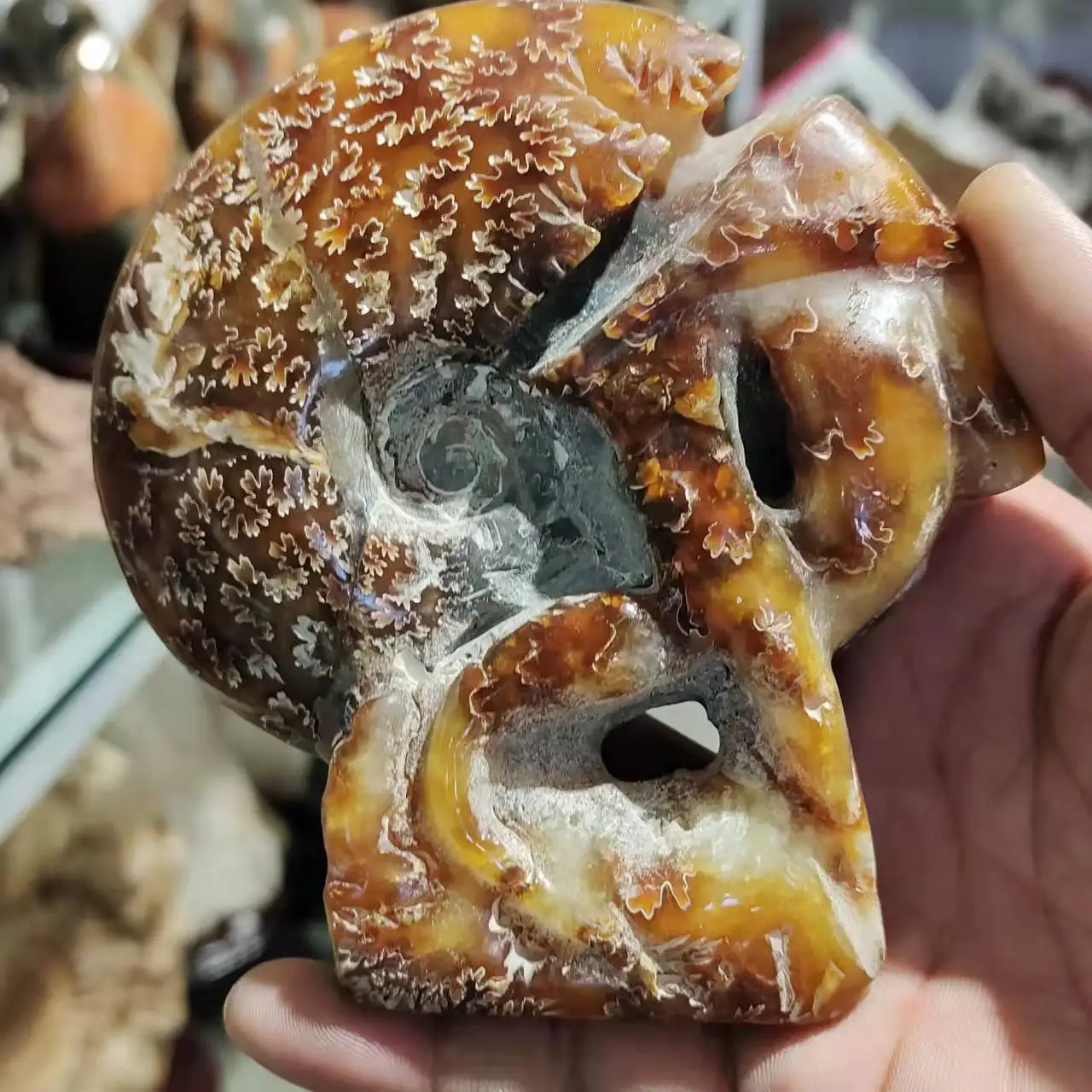 

Natural paleontological fossils hand carved conch crystal specimens large chakra healing home decoration gift