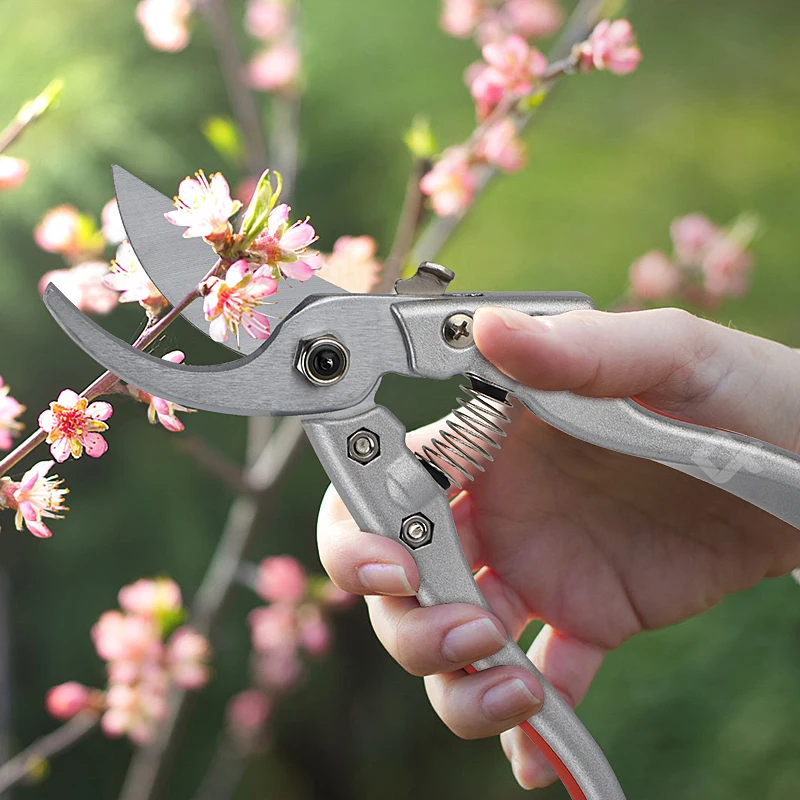

QHTITEC Garden Scissors Grafting Tool Pruning Shears Scissors Bonsai Tree Pruner Cutter for Orchard and Garden Household Tools