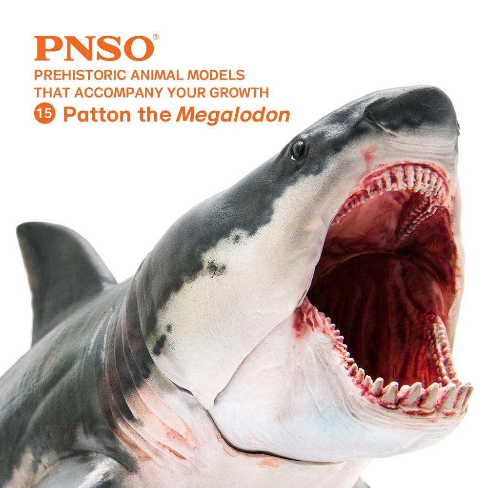 PNSO доисторические модели животных: 15Patton The Megalodon (большая белая акула) 6 2