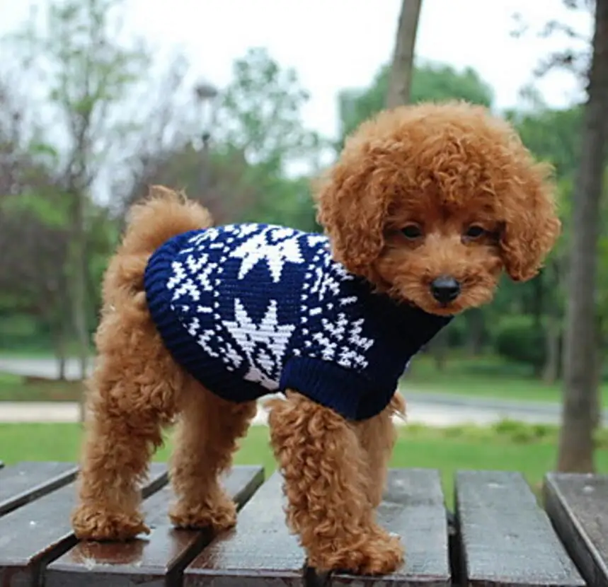 Pet свитер для собаки кошки куртка с капюшоном зимняя теплая шерсть пальто