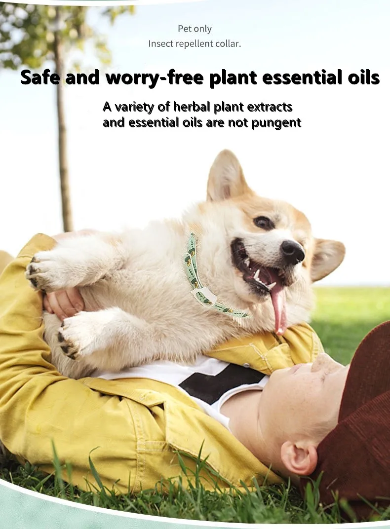 

Dog Collar Custom Nylon Pet Dog Tag Collar Custom Puppy Cat Nameplate ID Collars Adjustable For Medium Large Dogs Accessories