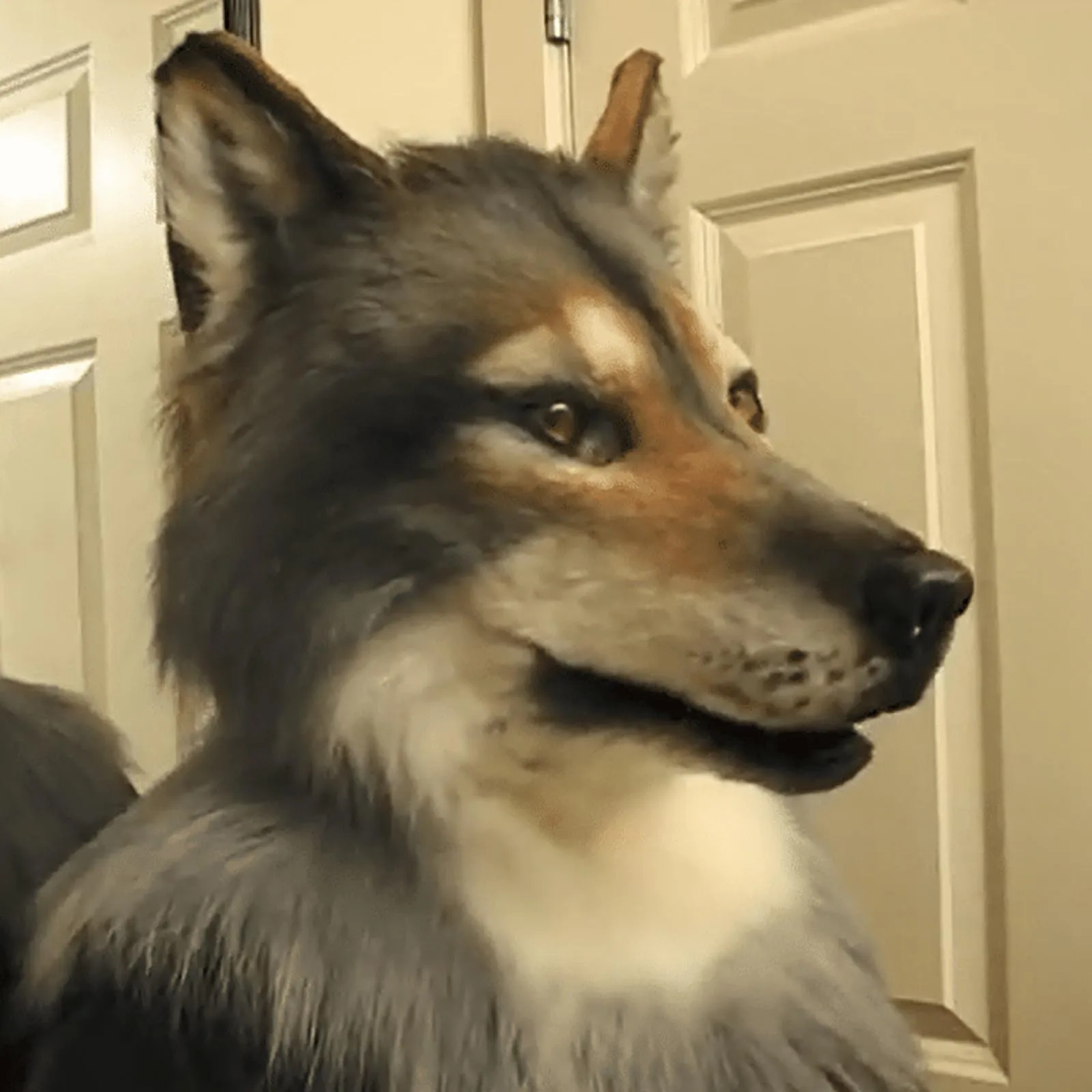 Креативный головной убор маска имитация волка персонализированный дизайн