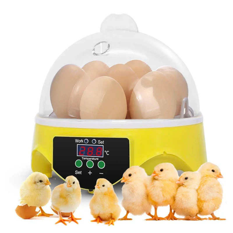 

HHD Mini Incubator for Eggs 110V/220V Automatic Temperature Control Brooder Egg Incubators Machine 7 Eggs Incubator for Chichens