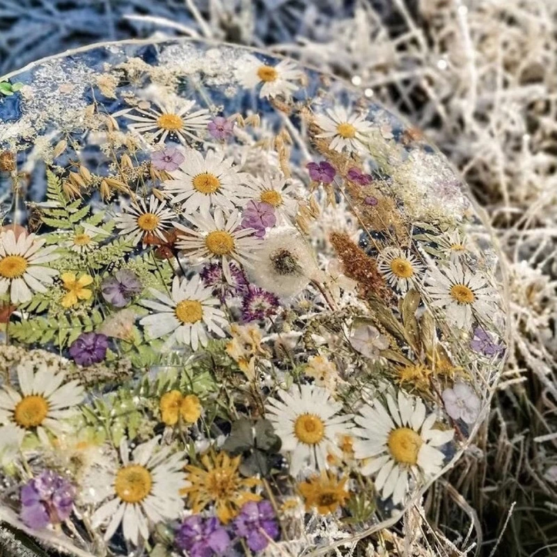 

Natural Dried Pressed Flowers Leaves For Home Decoration Artwork Crafts