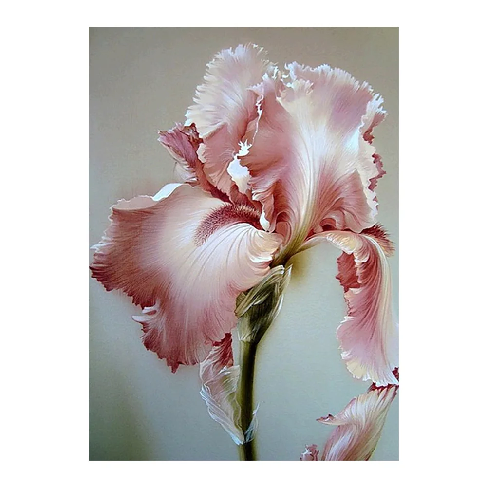 Картина из цветов Iris Tectorum алмазная живопись цветочный круг полная вышивка 5D