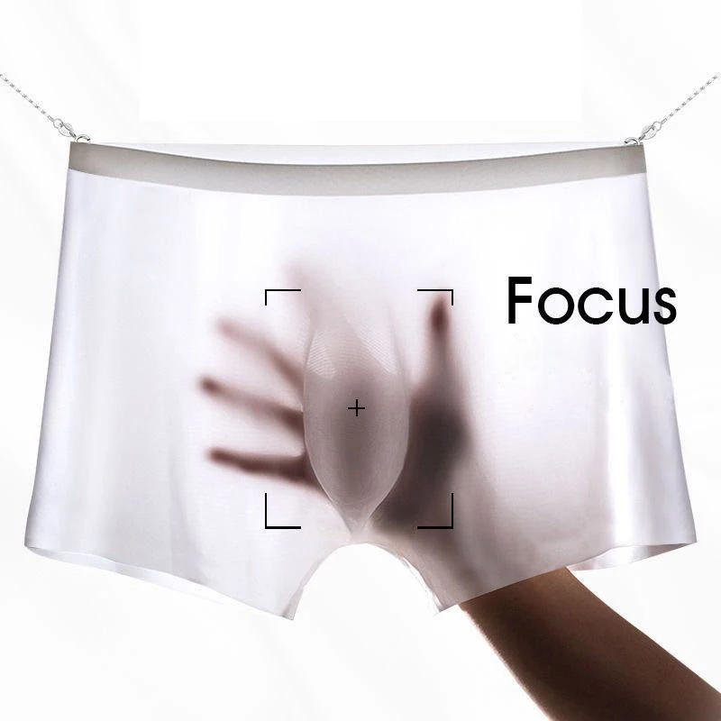 

Summer Autumn Ice Silk Men Underwear Seamless Transparent Boxer Shorts Ultra Thin Sheer Breathable Comfortable Panties Underpant