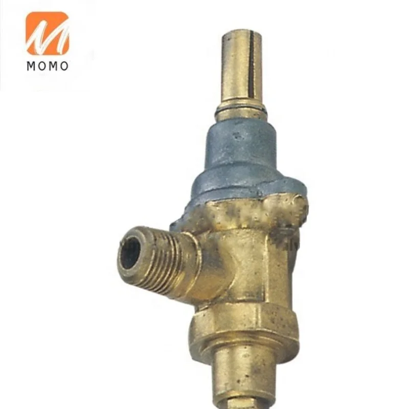 

Hot Selling High Quality Filter Drier Repair Parts One Way Gas Valve