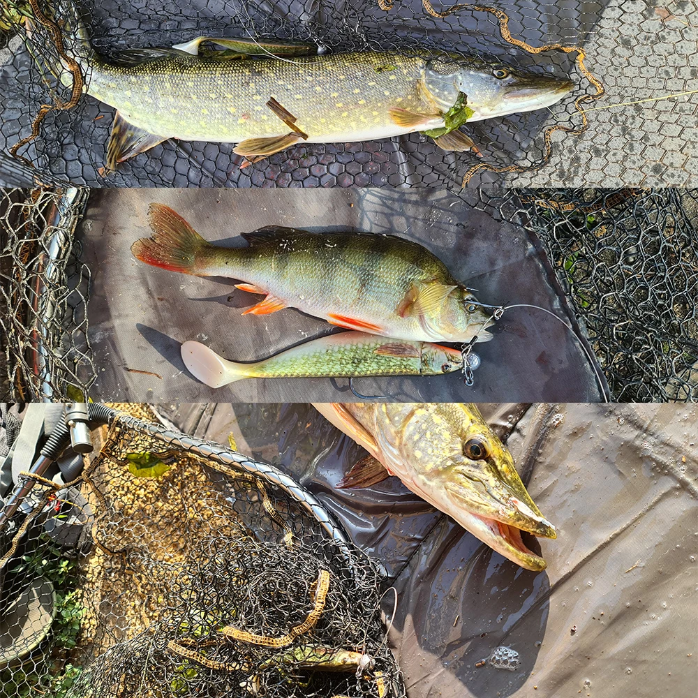 BESTAC Soft Lure bait Huge Big Pro Shad Predator Zander Bass Perch Pike Rage Berserk Sea Fresh Fishing Lead Head and Hook | Спорт и