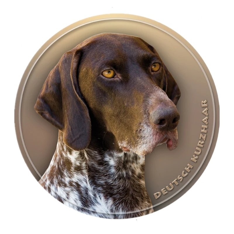 

S40419 # различные размеры ПВХ наклейка Kurzhaar Dog V2 Автомобильная наклейка для бампера заднего окна ноутбука холодильника туалета