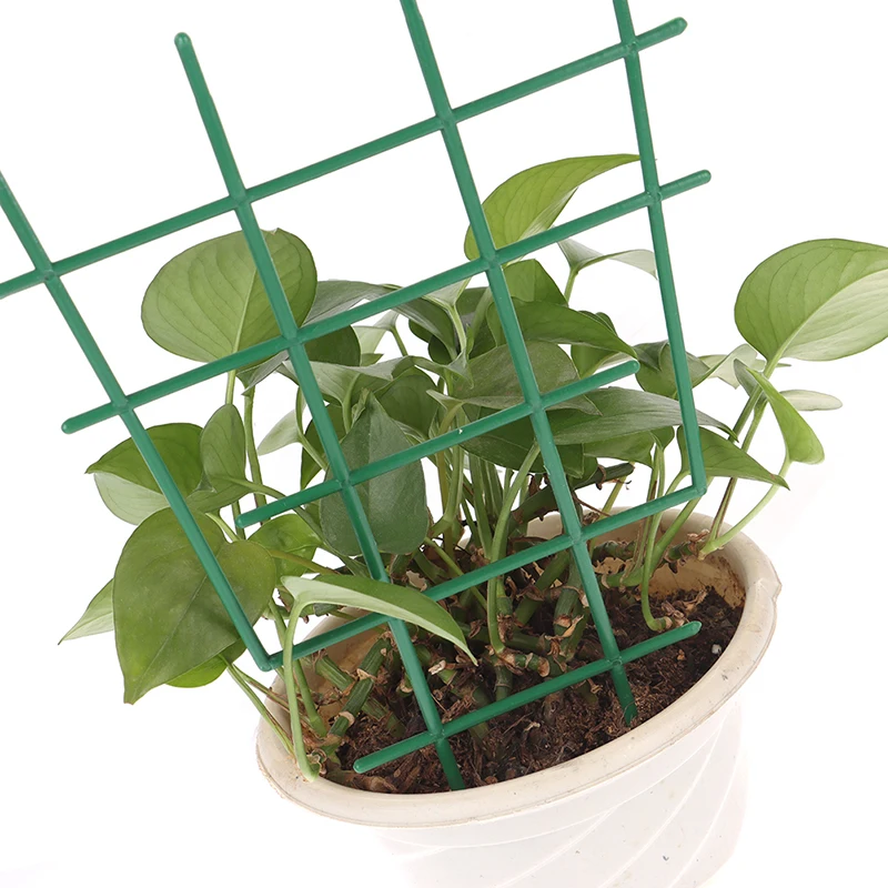 

Durable Climbing Plant Support Cage Garden Trellis Flowers Stand Rings Tomato Support Vine Rack Tomato Cage