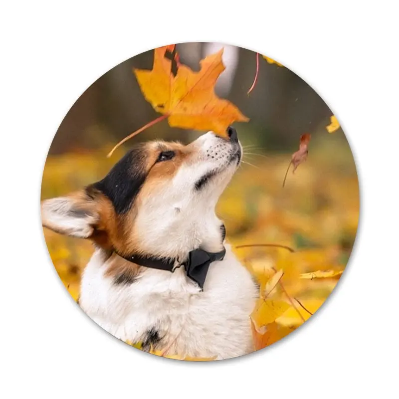 Значки для одежды и рюкзака 58 мм | Дом сад