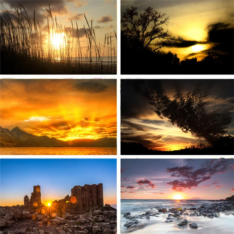 Фотостудия фотография Фон природный пейзаж закат темные облака тростники