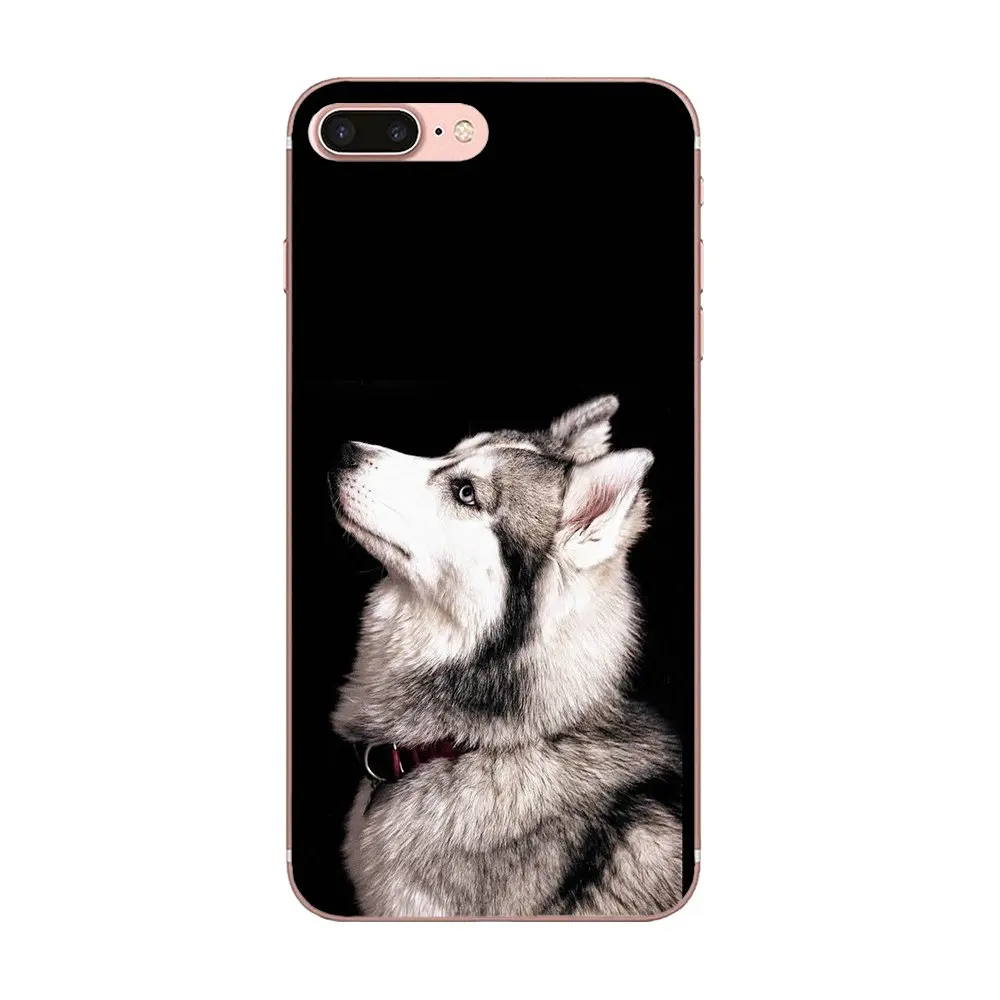 Мягкие чехлы Capa Lovely Animal Husky Puppy для Huawei Honor 4C 5A 5X 6A 6C 6X 7X 9 V8 V10 Mate 7 8 10 P9 P20 Pro Lite Play |