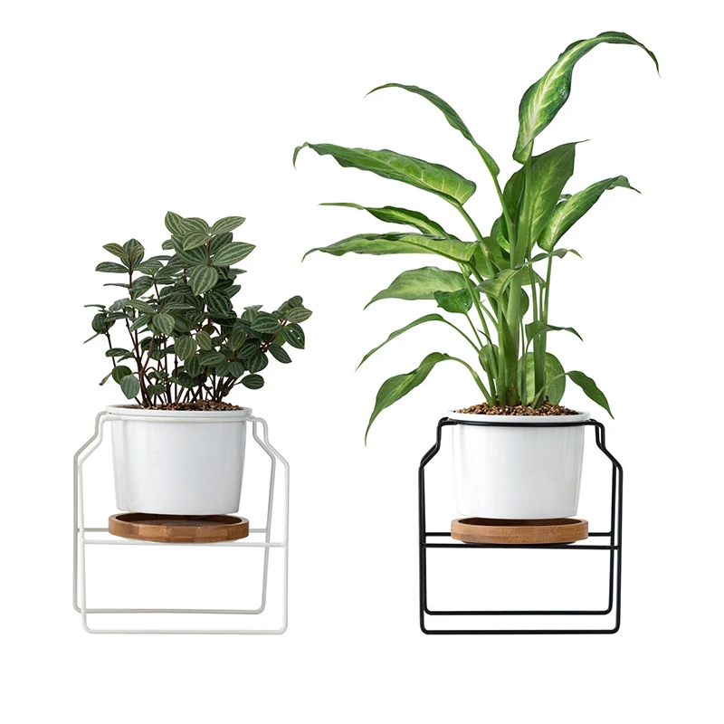 Современный скандинавский суккулентный плантатор керамические цветочные