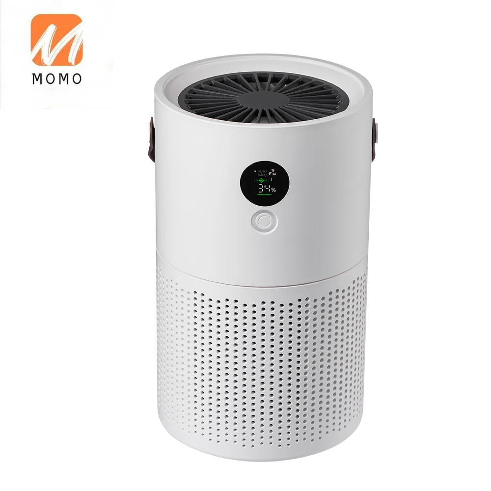 

Home Appliance Parts Air Cleaner Powerful Anion H13 Hepa Filter Portable Air Purifier