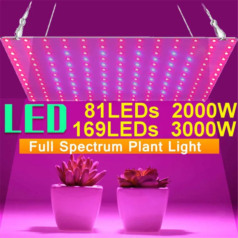 3000W LED Grow Light For Plants Full Spectrum Hydroponics Phytolamp Indoor Herbs Growth Light For Greenhouse Led Grow Plant Lamp