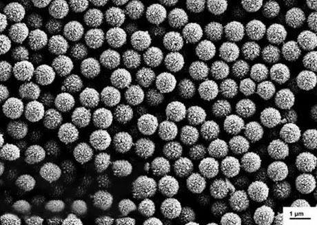

Streptavidin magnetic beads