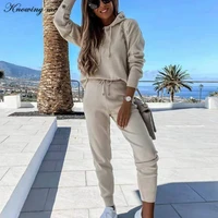 women winter fleece tracksuit set 2021 winter sweatshirt hooded top and long pants suit office lady warm solid outfits 2pcs sets