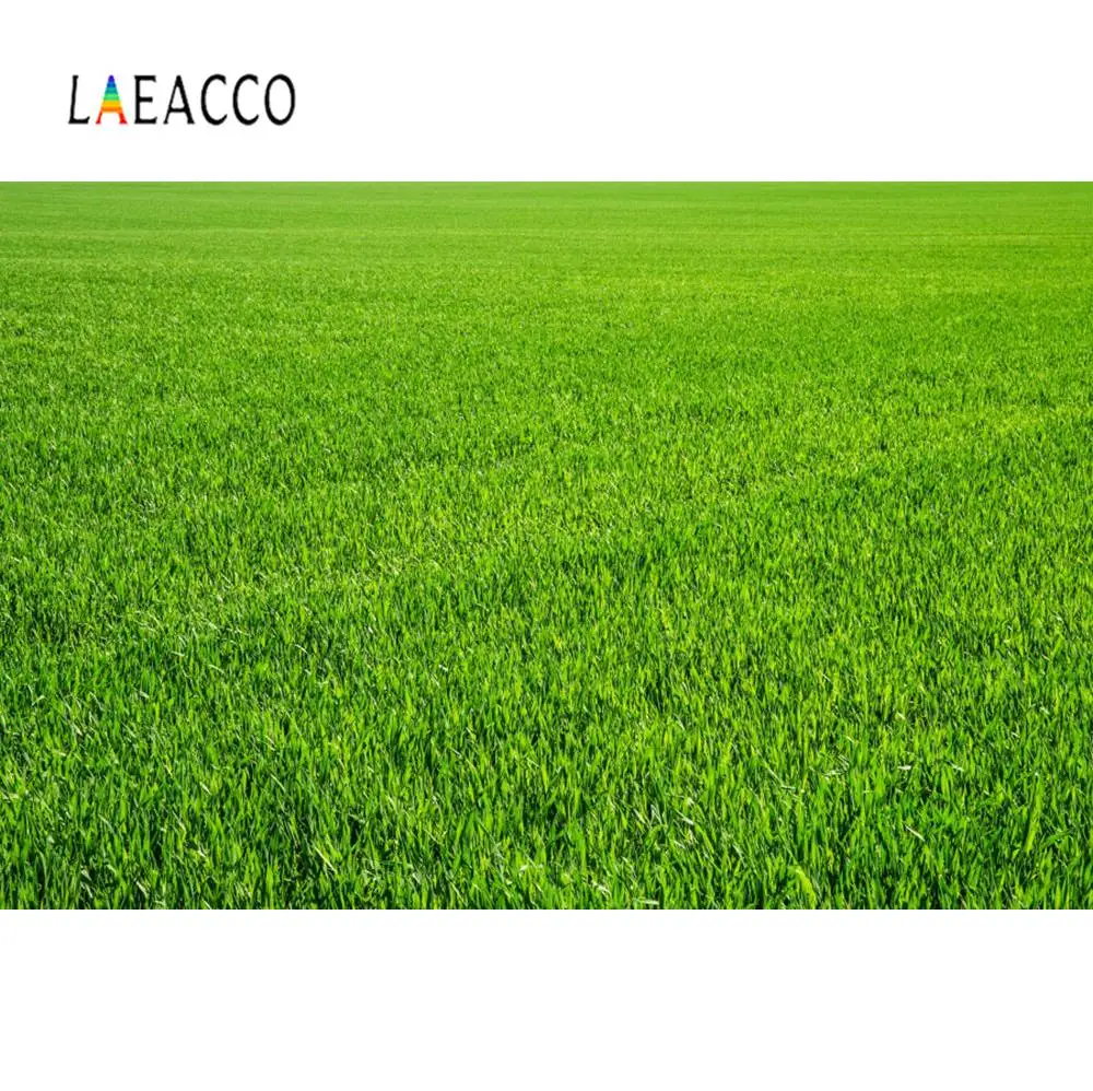 Laeacco фоны для фотосъемки Весна Зеленая трава газон светильник боке вечерние
