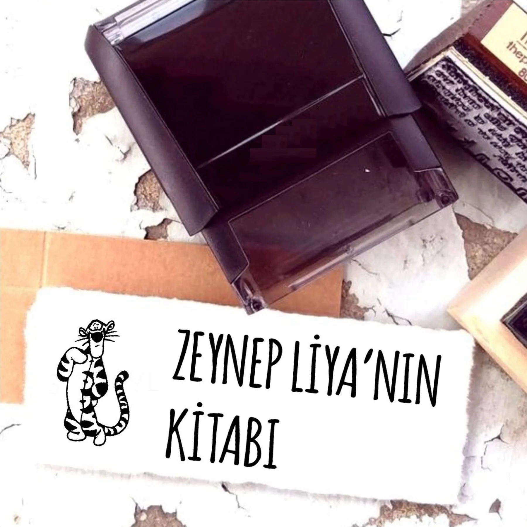 

Personalized Design Name Written Book Stamp-71