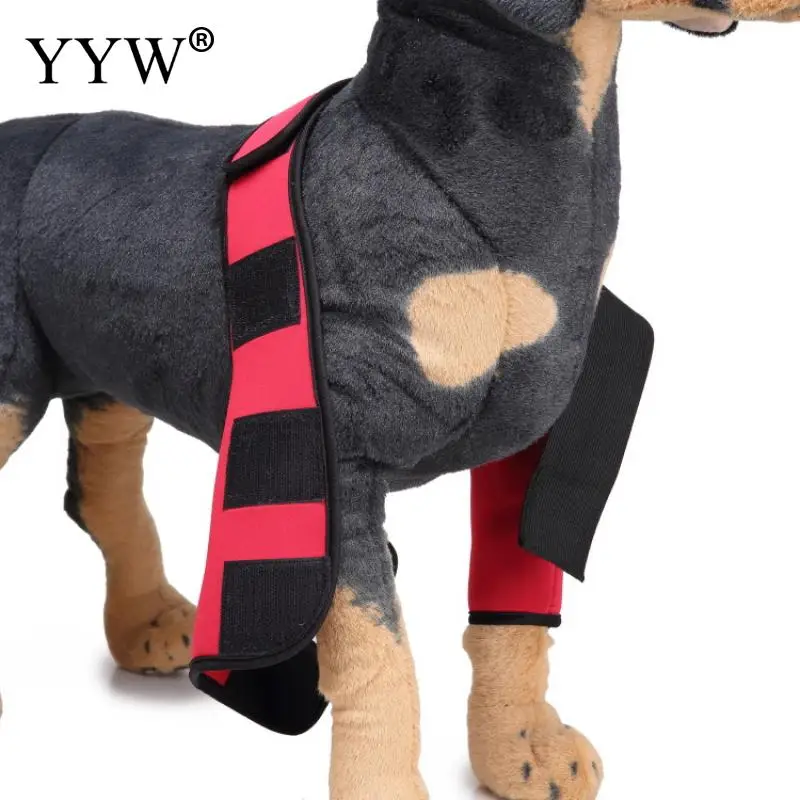 Товары для домашних животных уход за собаками наколенник леггинсы собак
