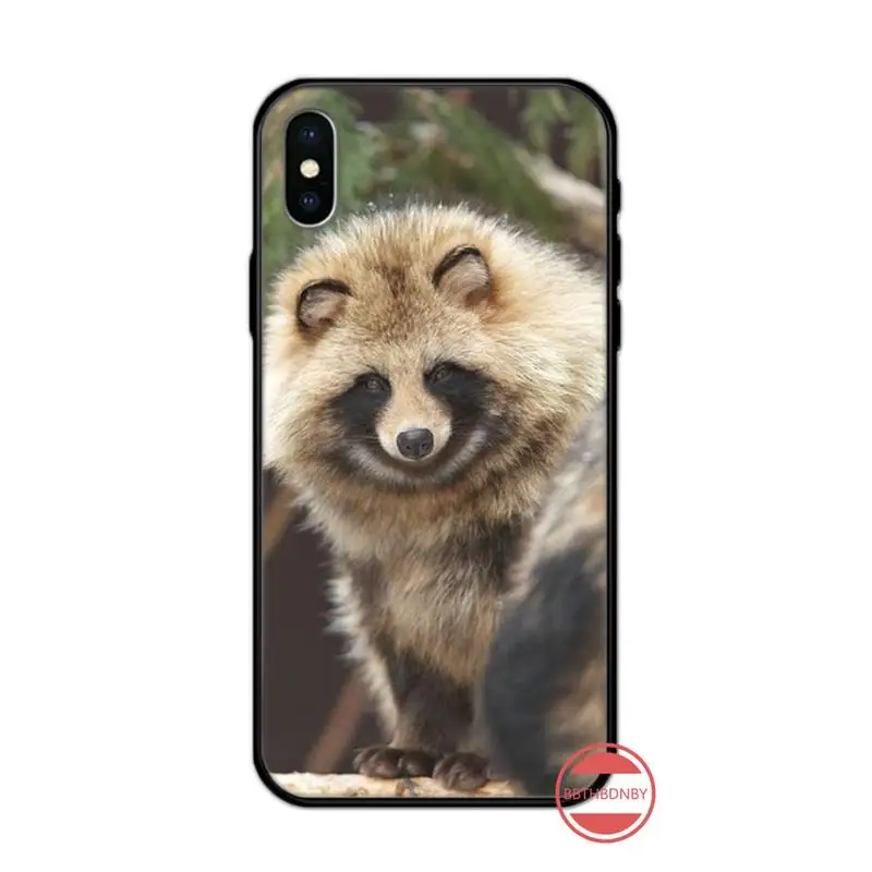 

Raccoon Fox cute animal luxury Phone Case cover for iPhone 11 12 pro XS MAX 8 7 6 6S Plus X 5S SE 2020 XR mobile cover