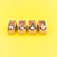 gashapon animal ornaments action figures cat in matchbox fantasy figurines model toy