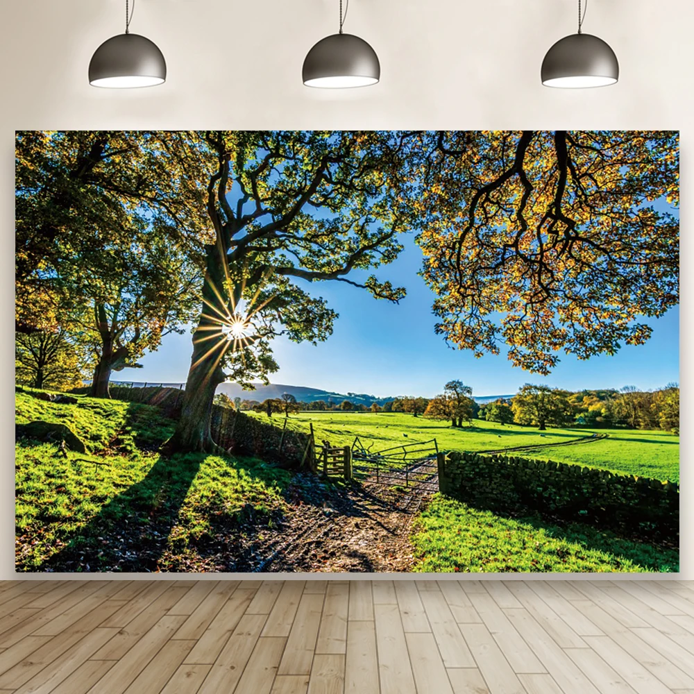 

Фон для детской фотосъемки с изображением зеленого луга леса весеннего солнечного света природного пейзажа реквизит для декора гостиной