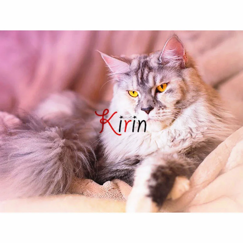 Алмазная 5D картина Kirin show животное кот полная вышивка распродажа стразы мозаика