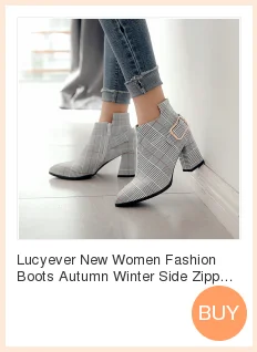 Lucyever/женские ботинки; сезон осень-зима; Модные ботильоны на высоком толстом каблуке с боковой молнией и пряжкой; повседневные ботинки в клетку с острым носком; Botas Mujer