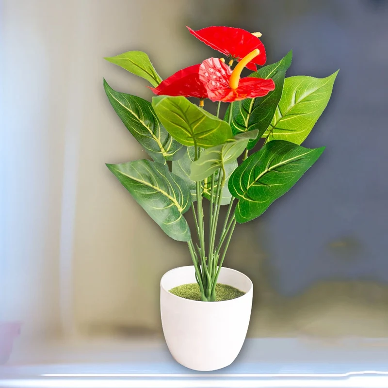 Редкий цветок антуриума Бонсай балкон Горшечное растение бонсай Красный