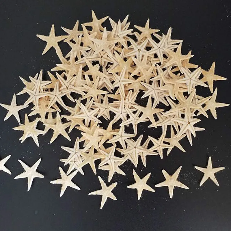 

25/50pcs 2-3cm Starfish Beach Craft Natural Sea Stars Craft Decoration DIY Handmade Accessories