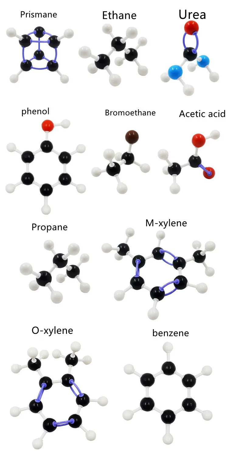 Набор из органической молекулярной модели Atom для учителей старших классов и