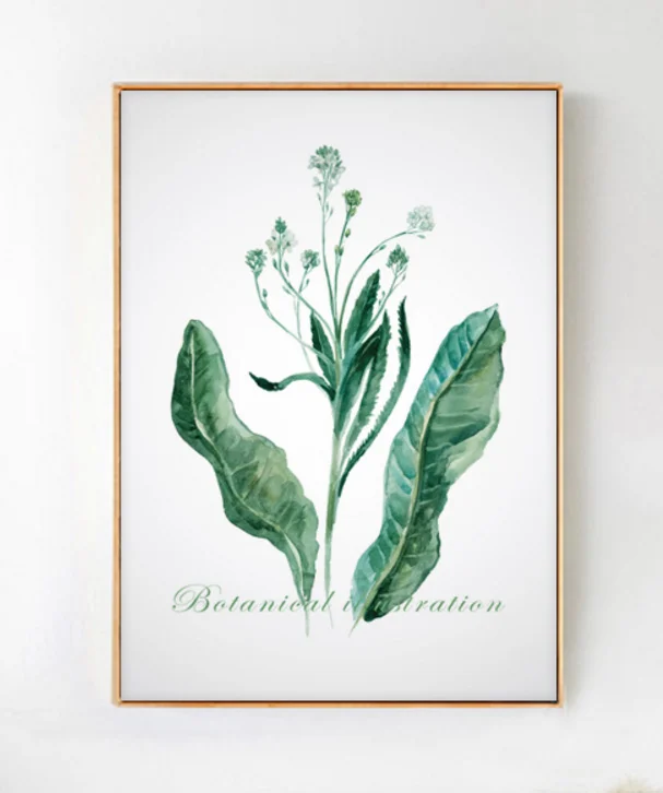 Зеленые листья полной жизни демонстрируют форму цветов простые и чистые