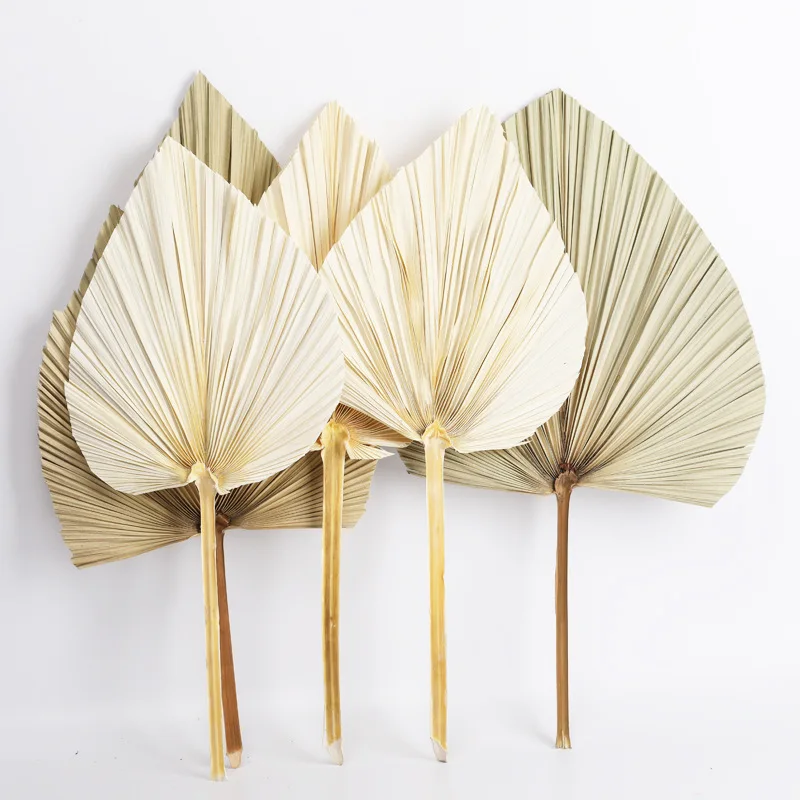 

Natural Palm Ieaves DIY Party Art Wall Hanging Wedding Decor Wedding Arch Arrangement Pu Fan Leaf Window Reception Dekoration
