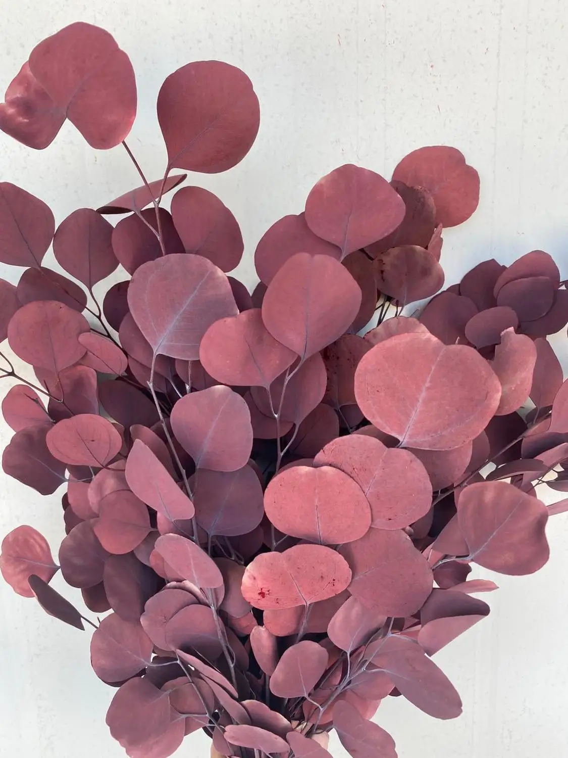 Цветные листья эвкалипта яблока Осенние круглые натуральные вечные 50 г