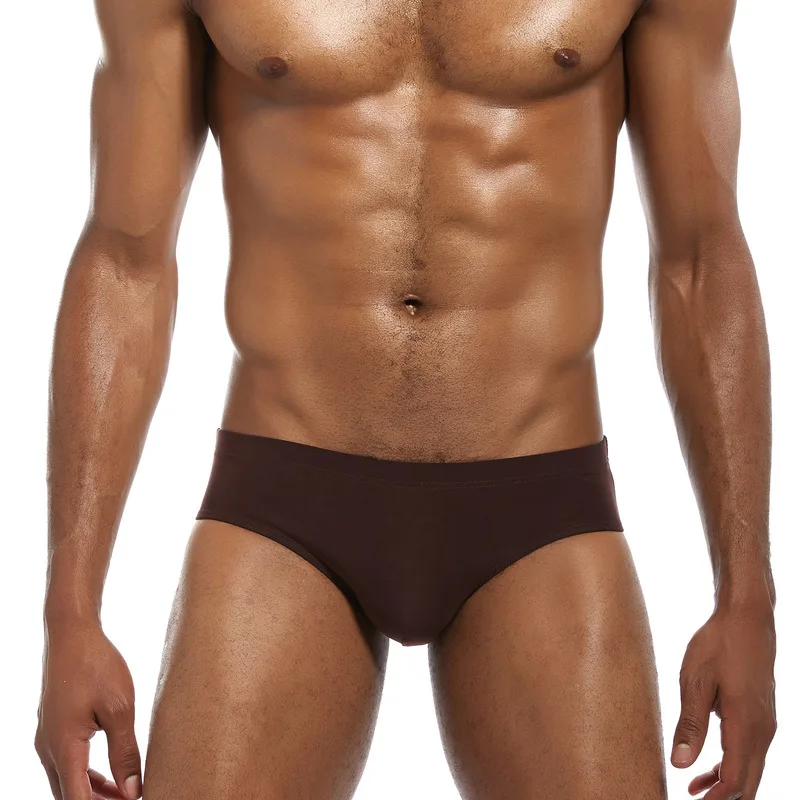 Брифы мужские из вискозы 6 цветов |