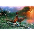 Алмазная живопись 5D 